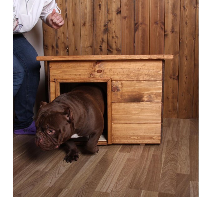 Будка для собак №1 окрашенная