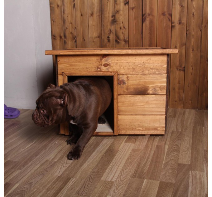 Будка для собак №1 окрашенная