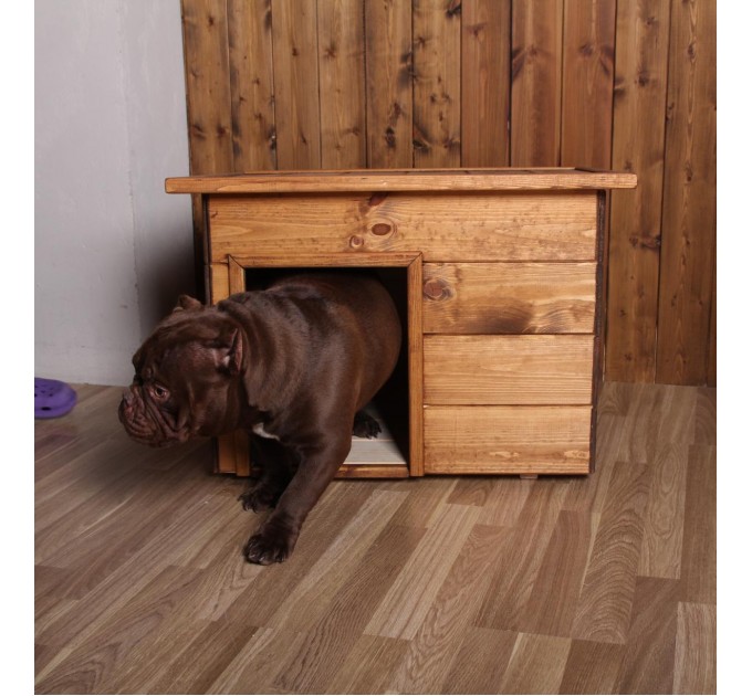 Будка для собак №1 окрашенная